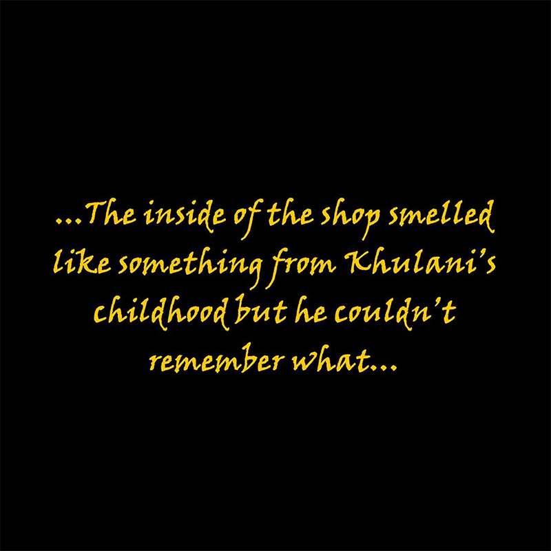 Quote from Diamond Spice: the inside of the shop smelled like something from Khulani's childhood