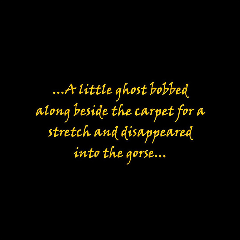 Quote from Diamond Spice: a little ghost bobbed along beside the carpet